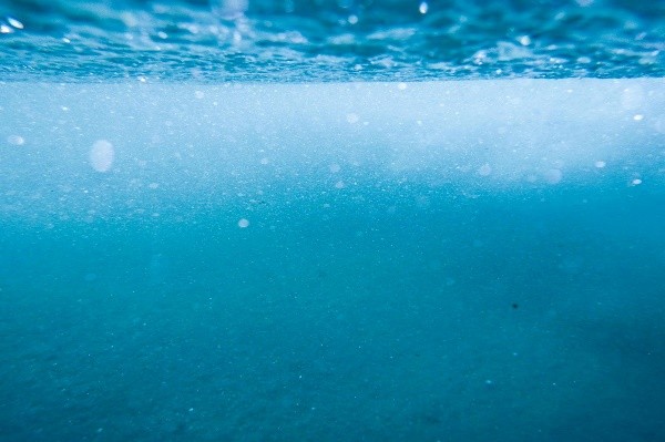 Waterland :  Des membranes inspirées de la nature pour un dessalement durable